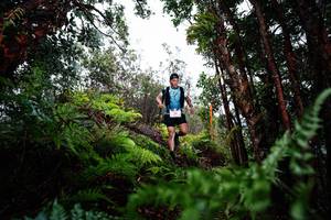 BIB: 
                            <button type="button" onclick="openModal(26204698)" class="btn btn-primary btn-sm float-right btn-popup" data-toggle="modal" data-target=".modal-high-quality">
                        <i class="fas fa-shopping-cart"></i> Add to Cart
                    </button>
                                            <button type="button" onclick="isThisMe(26204698, true)" class="btn btn-success btn-sm float-right btn-popup btn-isme hidden" data-toggle="tooltip" data-placement="bottom" title="นี่คือรูปของคุณใช่ไหม คลิกที่นี่เพื่อเอาเข้าอัลบั้ม">
                        <i class="fas fa-plus"></i> Add to album
                    </button>
                    <button type="button" onclick="isThisMe(26204698, false)" class="btn btn-warning btn-sm float-right btn-popup btn-isnotme hidden">
                        <i class="fas fa-ban"></i> Remove from album
                    </button>